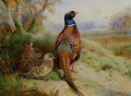 cock and hen pheasant at the edge of a wood 1926 birds